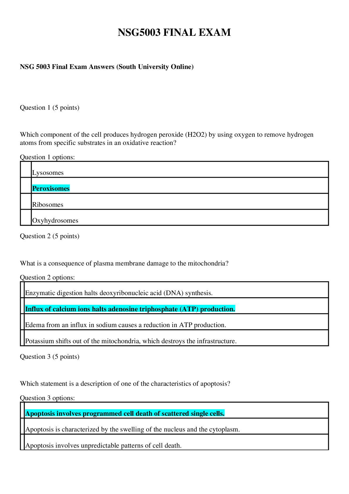 Preview image for South University NSG5003 Final Exam 2019